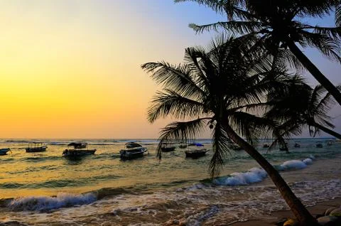 Tropical beach 写真素材