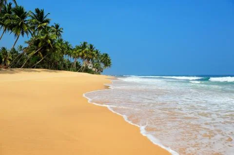 Tropical beach 写真素材
