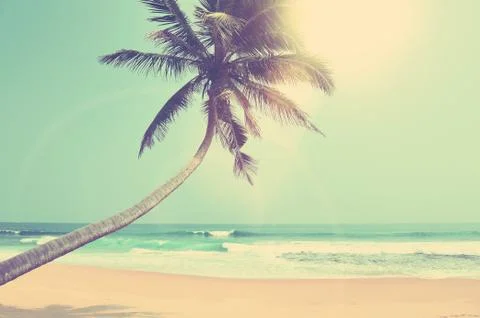 Tropical beach Stock-Fotos