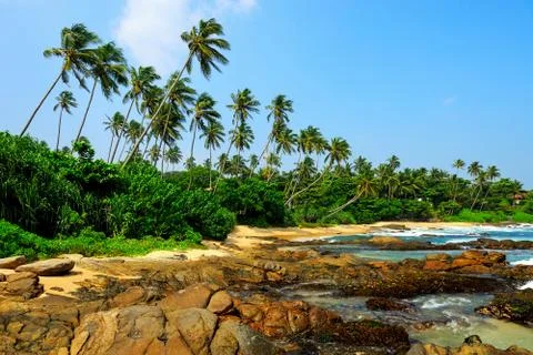 Tropical beach Stock Photos