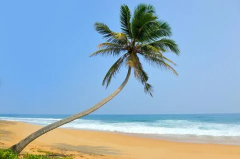 Tropical beach Foto stock
