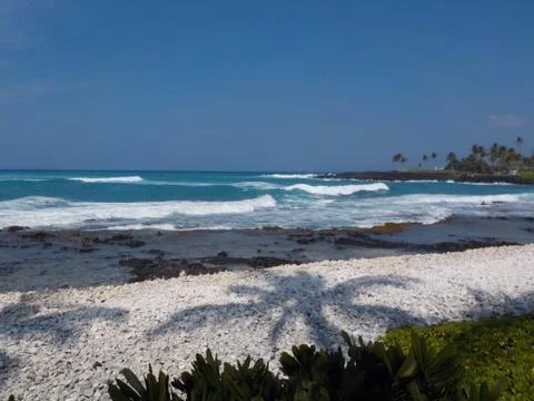 Tropical beach Stock Photos