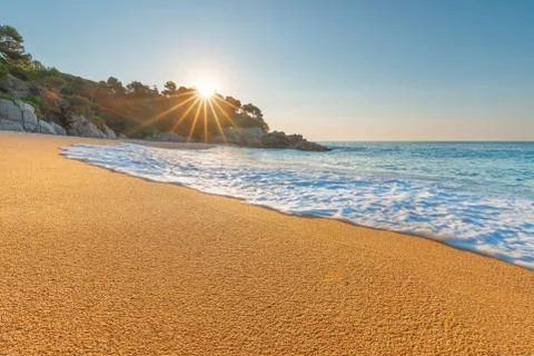 Tropical beach Stock Photos