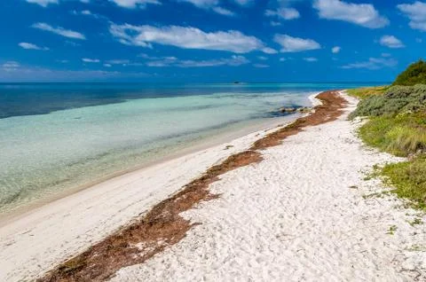 Tropical beach Stock Photos
