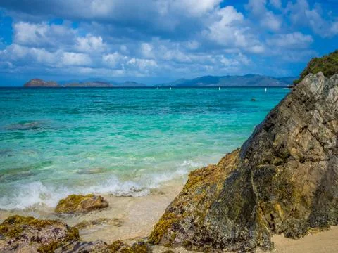 The Tropical Beach Stock Photos