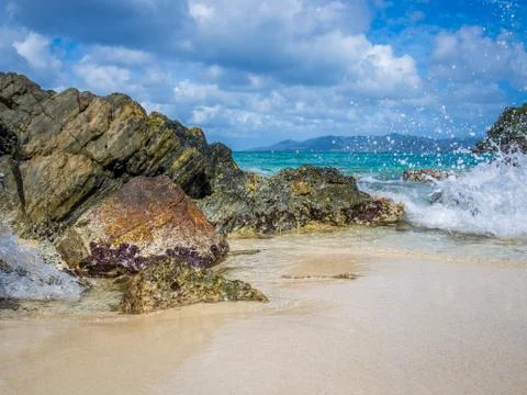 The Tropical Beach Stock Photos