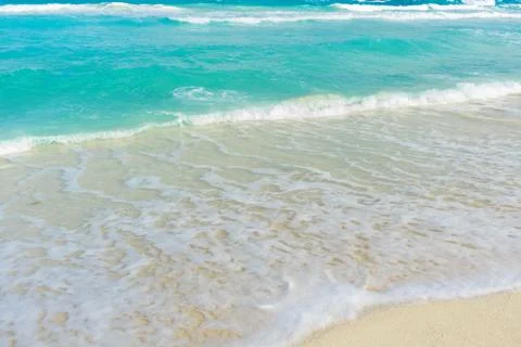 Tropical beach Stock Photos