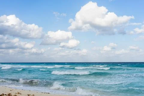 Tropical beach Stock Photos