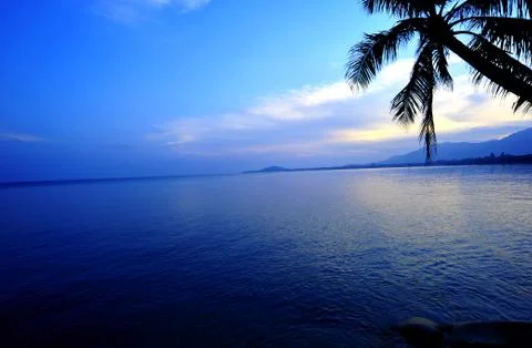 Tropical Beach Stock Photos