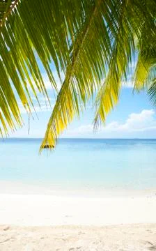 Tropical beach Foto stock