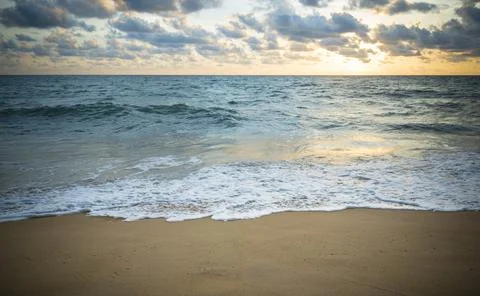 Tropical beach Stock Photos