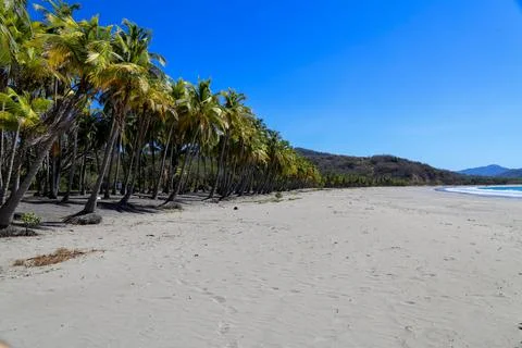 Tropical beach Stock Photos