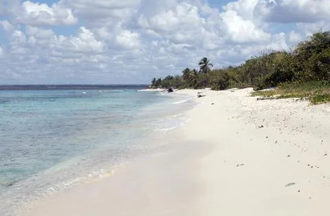 Tropical beach Stock Photos