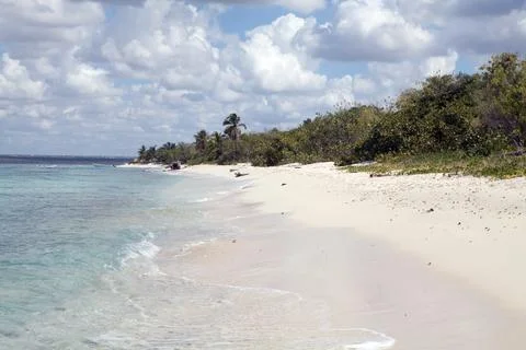 Tropical beach Stock Photos