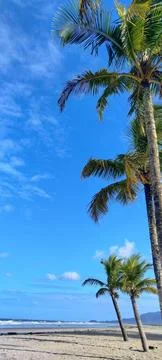 Tropical beach Stock Photos