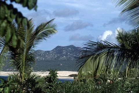 Tropical Beach Stock Photos
