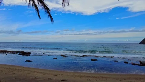Tropical Beach at Playa de Cepe Aragua Venezuela Caribbean Coast Landscape Stock Footage 331743052