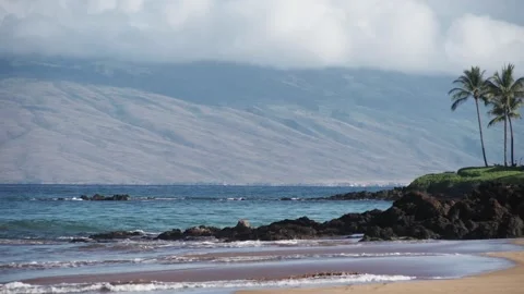 Tropical beach point with coconut trees in Kihei Maui Hawaii. Stock Footage 134848646