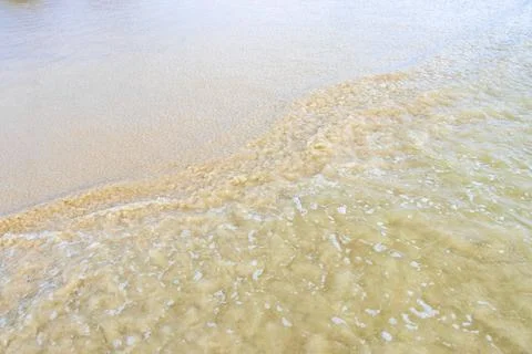 Tropical beach sand texture with clear waves and reflective ocean surface T.. Stock Photos