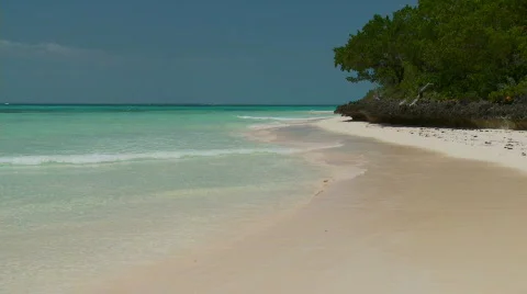Tropical Beach scene Stock-Footage 845021