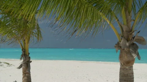 Tropical Beach scene Stock Footage 845022