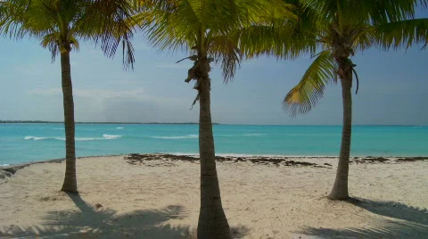 Tropical Beach scene Stock Footage 845024