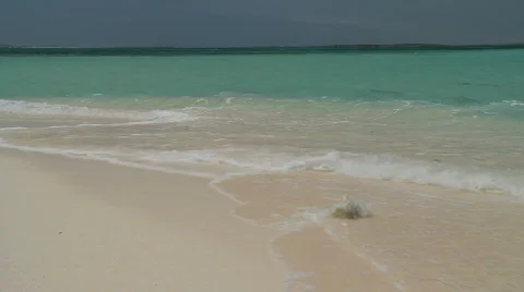 Tropical Beach scene Stock Footage 845027
