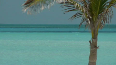 Tropical Beach scene Stock Footage 845029
