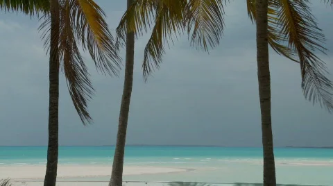 Tropical Beach scene Stock Footage 845030