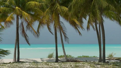 Tropical Beach scene Stock Footage 845031