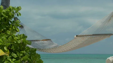 Tropical Beach scene Stock Footage 845032