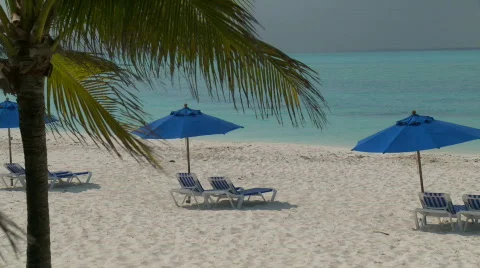 Tropical Beach scene Stock Footage 845037