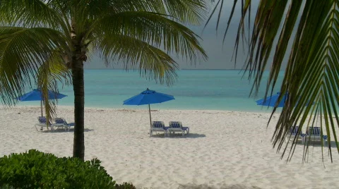 Tropical Beach scene Stock Footage 845038