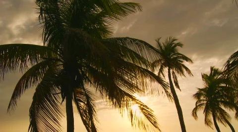 Tropical Beach scene Stock-Footage 845122