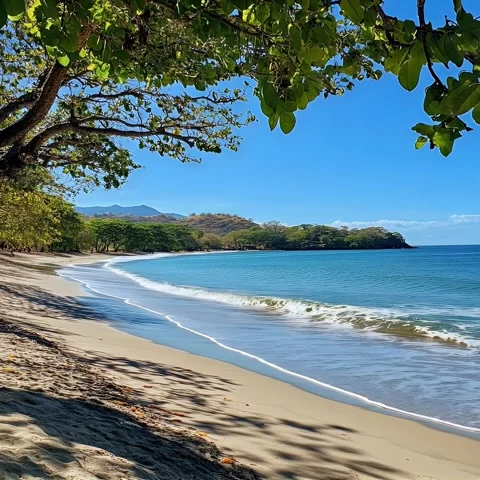 Tropical Beach Scene Stock Footage 307180840