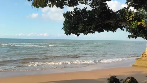 Tropical Beach Scene with Overhanging Tree and Calm Ocean Waves Stock Footage 340216275