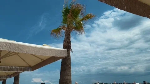 Tropical beach scene with palm trees. Trani Ammouda, Greece Stock Footage 339619643
