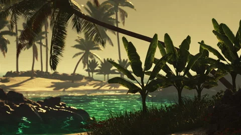Tropical beach scene with palm trees and water at sunset Stock Footage 345064281