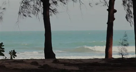 Tropical beach scene with trees, ocean waves, and clear sky. Stock Footage 303823705