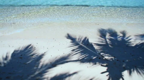 Tropical beach with shadow of palm trees Stock Footage 35386510