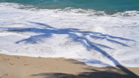 Tropical beach with shadow of palm trees Stock Footage 36342591