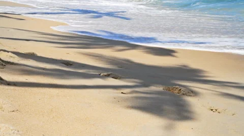 Tropical beach with shadow of palm trees Stock Footage 36342729