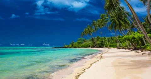 Tropical beach on south side of Upolu, Samoa Island with palm trees Stock Photos