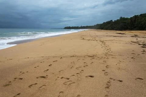 Tropical Beach With Storm Clouds at Bluff Beach in Bocas del Toro Stock Photos