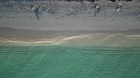 Tropical Beach with Straw Umbrellas and Ocean Waves, Aruba Stock Footage 340925867