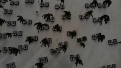 Tropical beach sunrise Stock Footage 230764341