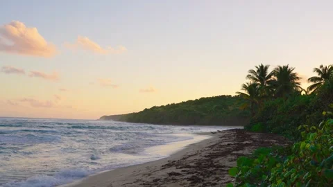 Tropical Beach Sunrise Stock Footage 305123884