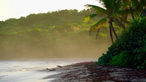 Tropical Beach At Sunrise Stock Footage 305123899