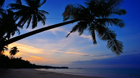 Tropical beach at sunset Stockbeeldmateriaal 33633602