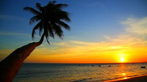 Tropical beach at sunset Stock Footage 46512957